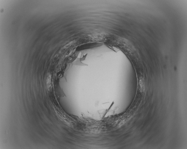 X0000080670963200612301356