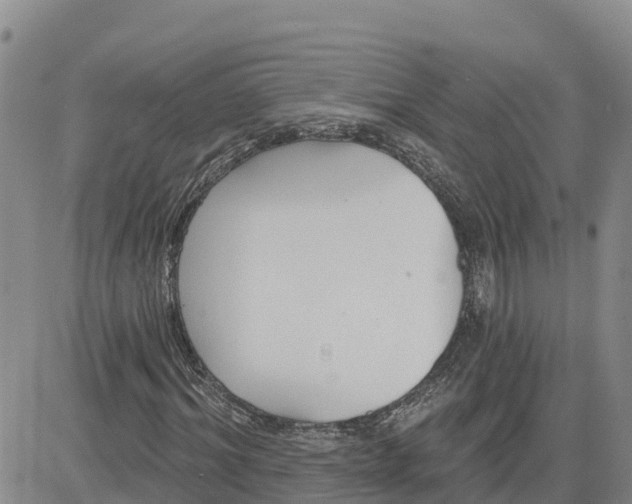 X0000080670964200612301356