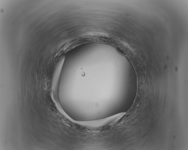 X0000080670965200612301356