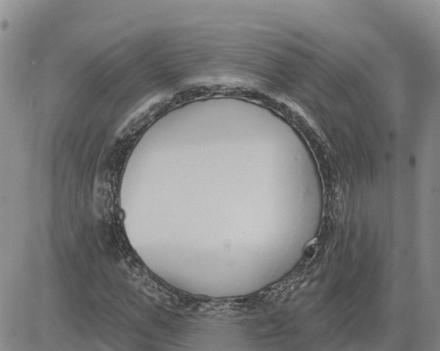 X0000080670967200612301356