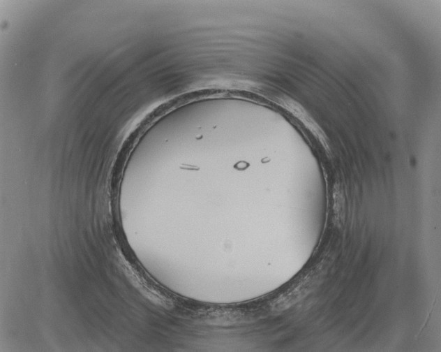 X0000080670972200612301356