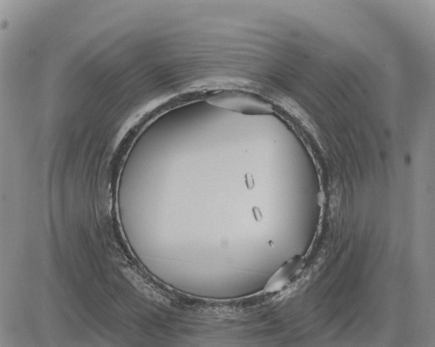 X0000080670973200612301356