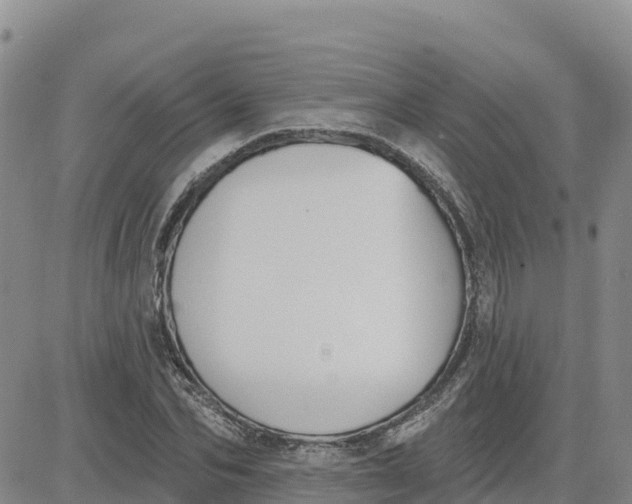 X0000080670974200612301356