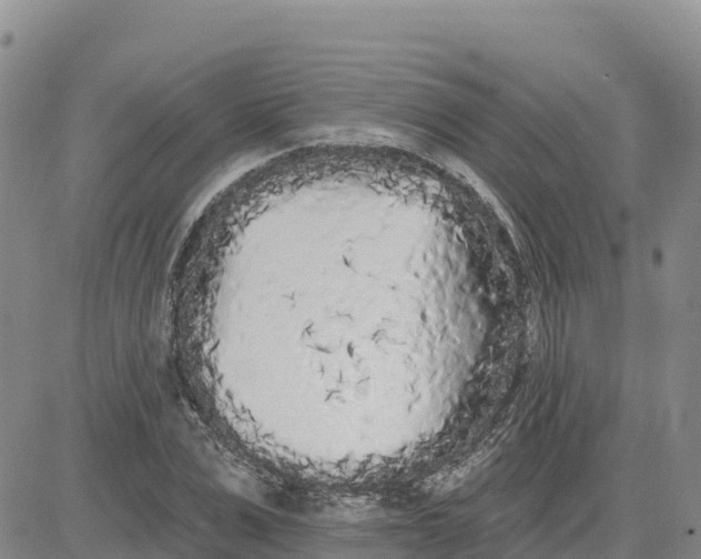 X0000080670975200612301356