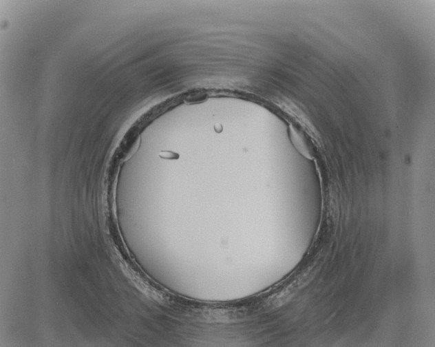 X0000080670976200612301356