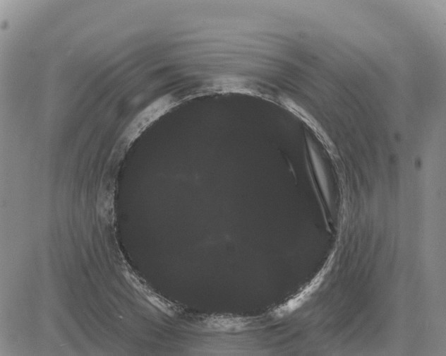 X0000080670977200612301356