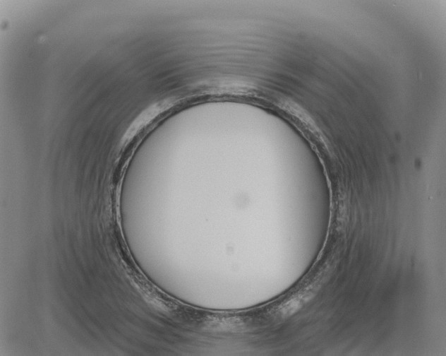 X0000080670978200612301356