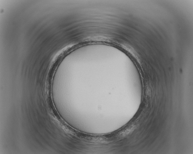 X0000080670979200612301356