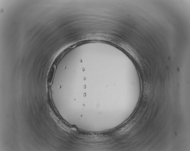 X0000080670980200612301356