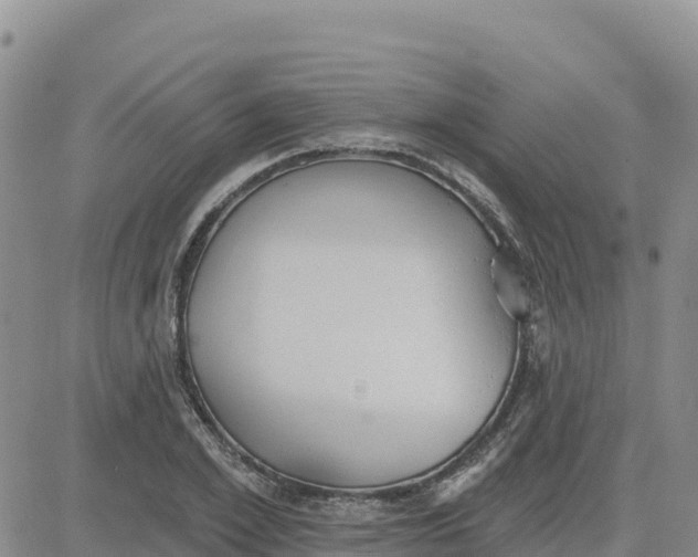 X0000080670981200612301356