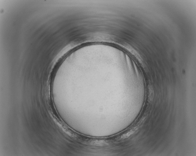 X0000080670982200612301356