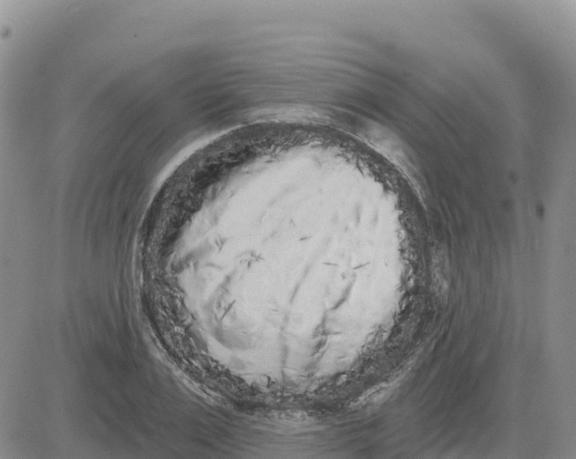 X0000080670983200612301356