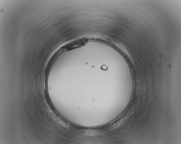 X0000080670984200612301356