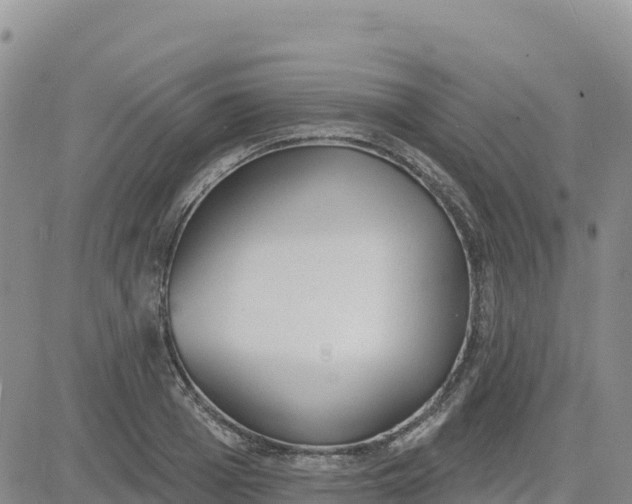 X0000080670985200612301356