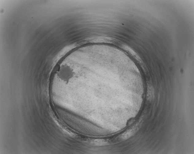 X0000080670986200612301356