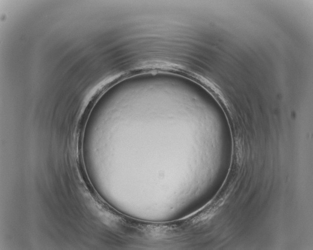 X0000080670987200612301356