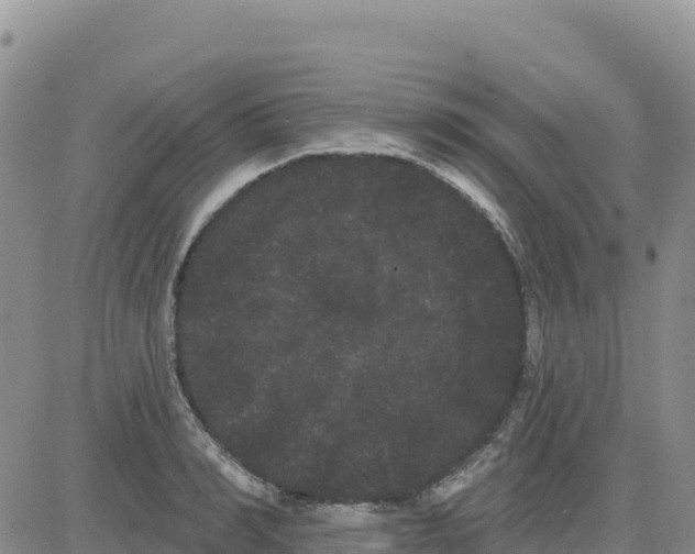 X0000080670990200612301355