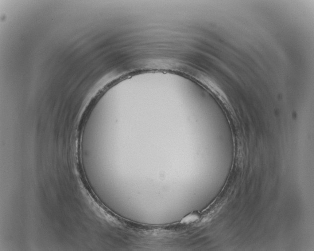 X0000080670992200612301355