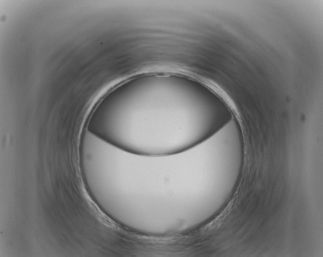 X0000080670996200612301355