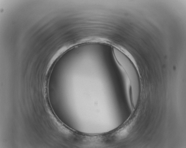 X0000080670997200612301355