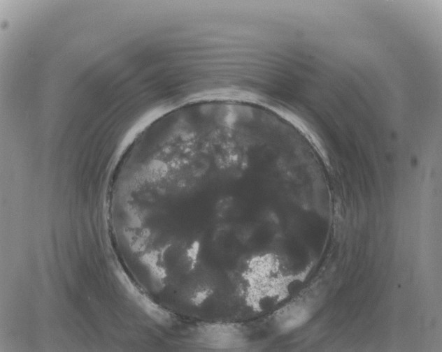 X0000080670998200612301355