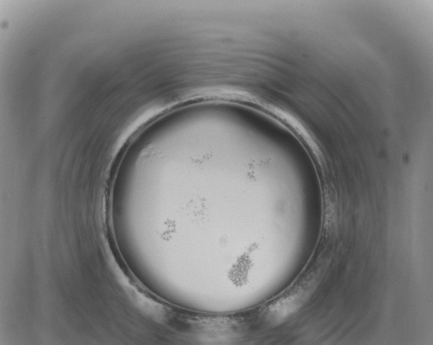 X0000080670999200612301355