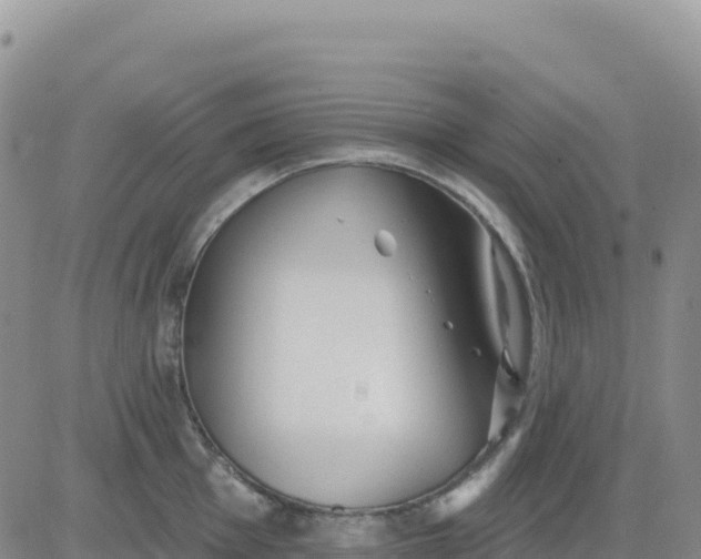 X0000080671001200612301355