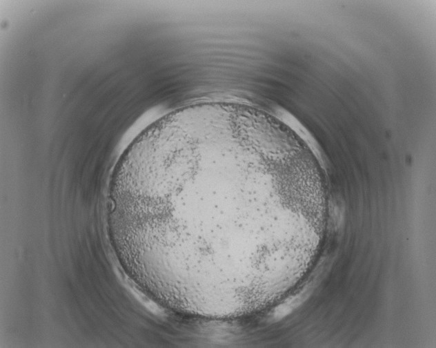 X0000080671002200612301355