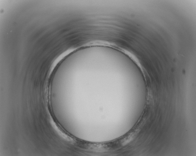 X0000080671003200612301355