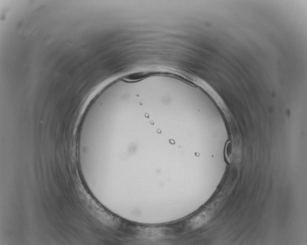 X0000080671004200612301355