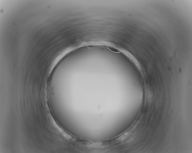 X0000080671006200612301355