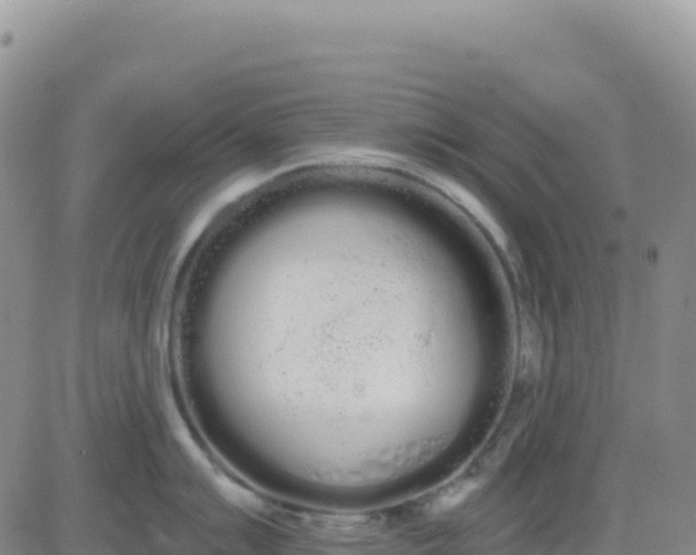 X0000080671007200612301355