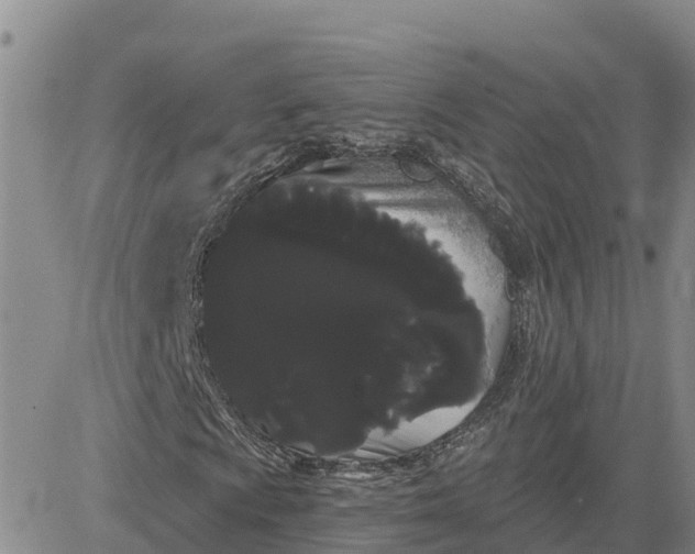 X0000080671009200612301354