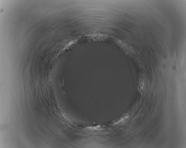 X0000080671010200612301354