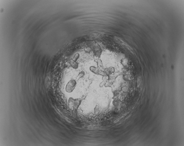 X0000080671011200612301354