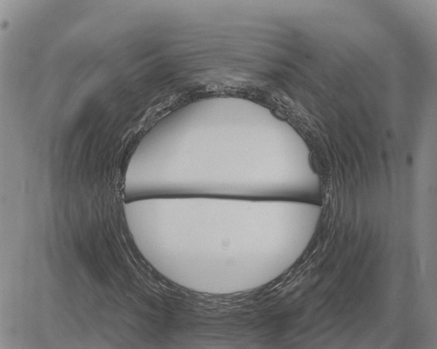 X0000080671012200612301354