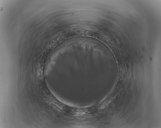 X0000080671013200612301354