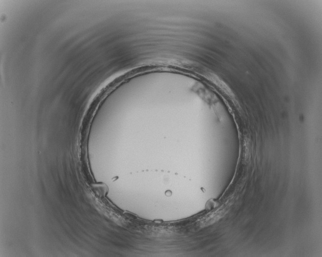 X0000080671020200612301355