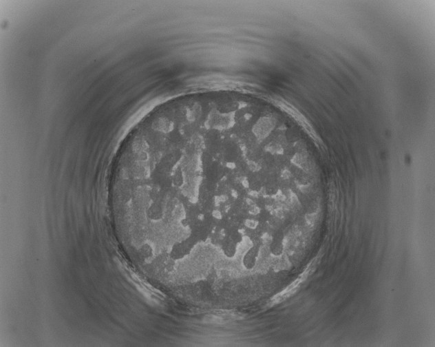 X0000080671023200612301355