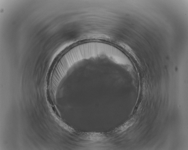 X0000080671024200612301355