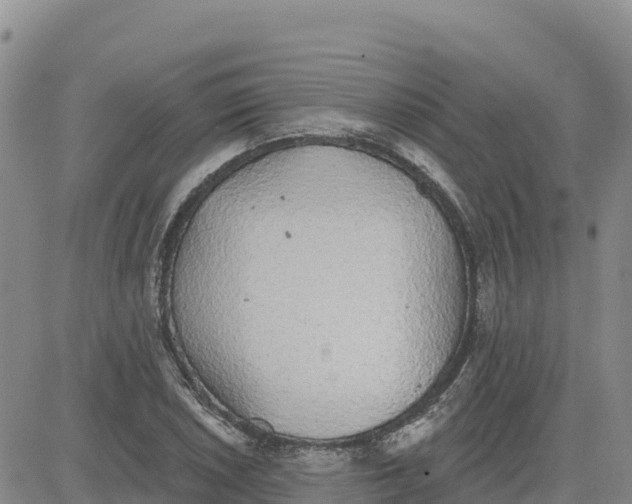 X0000080671026200612301355