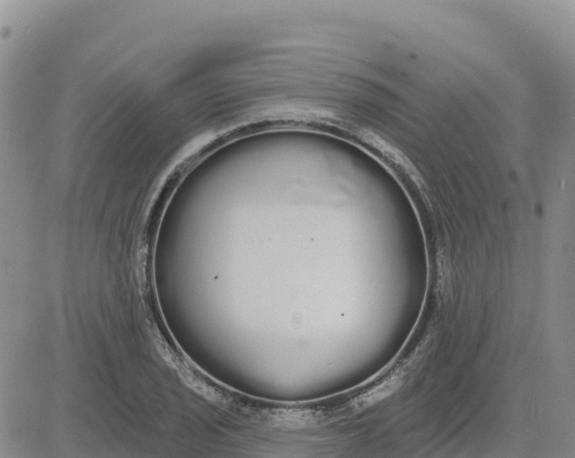 X0000080671029200612301355