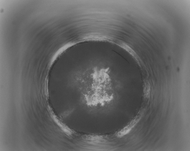 X0000080671030200612301355