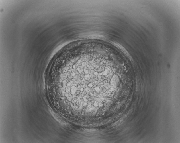 X0000080671031200612301355