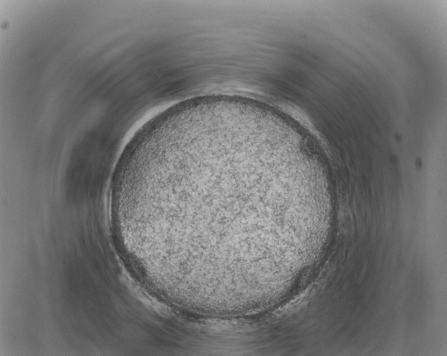 X0000080671032200612301355