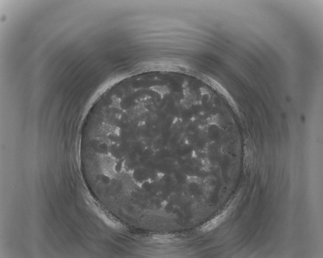 X0000080671035200612301355