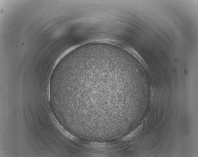 X0000080671036200612301355