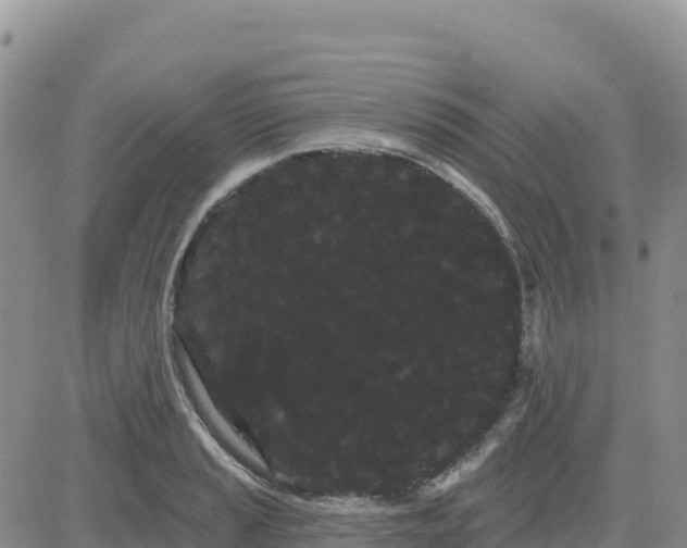 X0000080671037200612301355