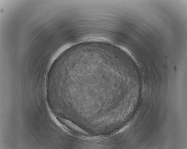 X0000080671038200612301355