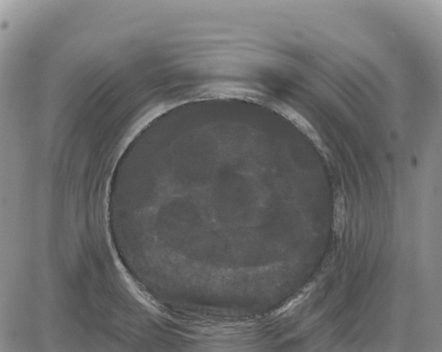 X0000080671039200612301355